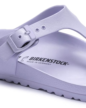 Birkenstock Gizeh EVA Purple Fog Toe Post Sandals Standard Fit