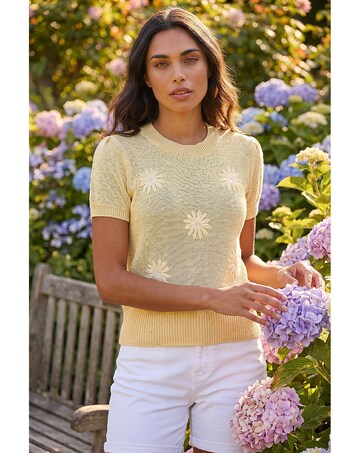 Roman Daisy Sparkly Embroidered Knit Top