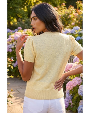 Roman Daisy Sparkly Embroidered Knit Top