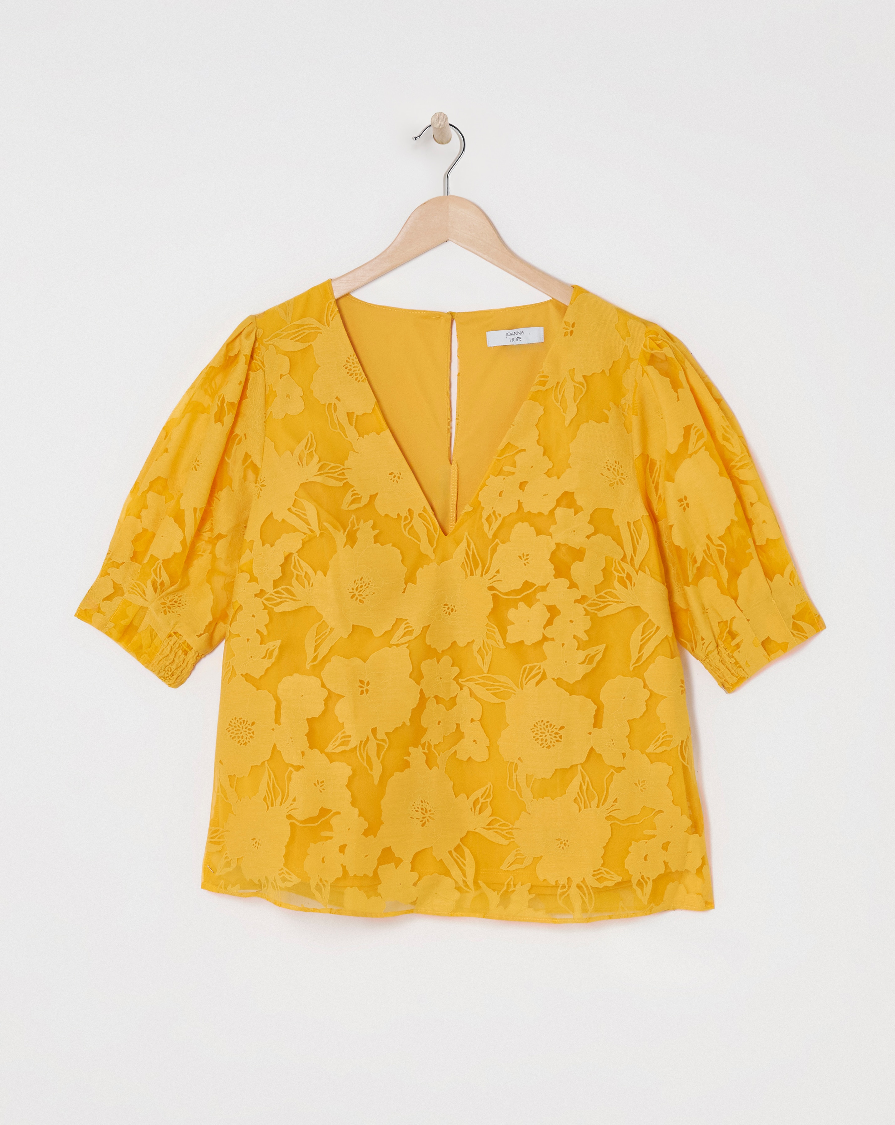 Joanna Hope Burnout Blouse