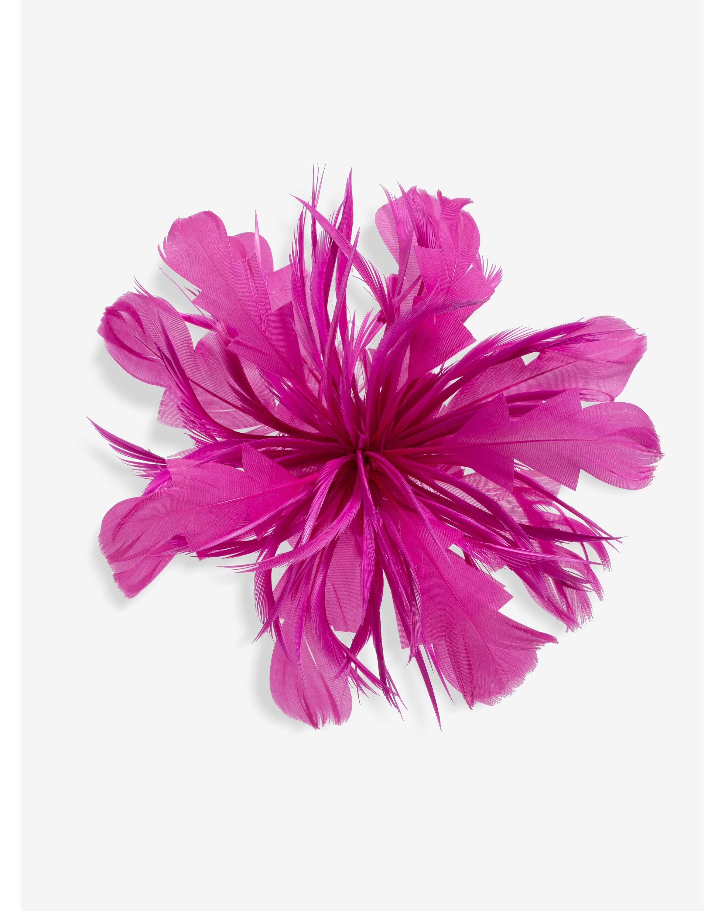 Jon Richard Fuschia Floral Fascinator