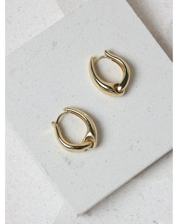 Jon Richard Gold Plated Polished Hoop Earrings