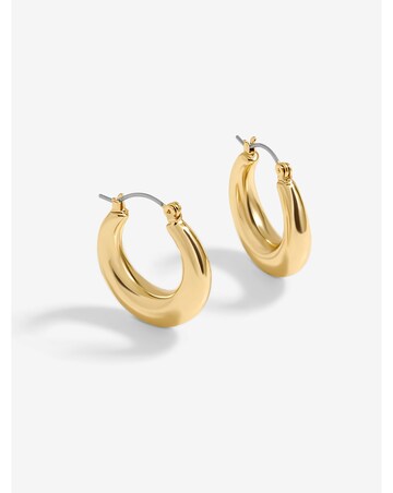 Jon Richard Gold Plated Graduated Hoop Earrings