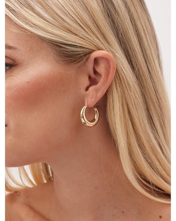 Jon Richard Gold Plated Graduated Hoop Earrings