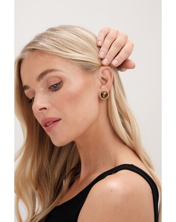 Jon Richard Tigers Eye Clip Earrings