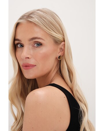 Jon Richard Tigers Eye Clip Earrings