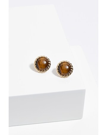 Jon Richard Tigers Eye Clip Earrings
