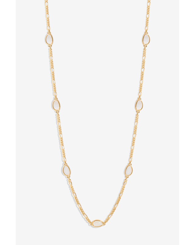 Jon Richard Chain Shell Station Necklace