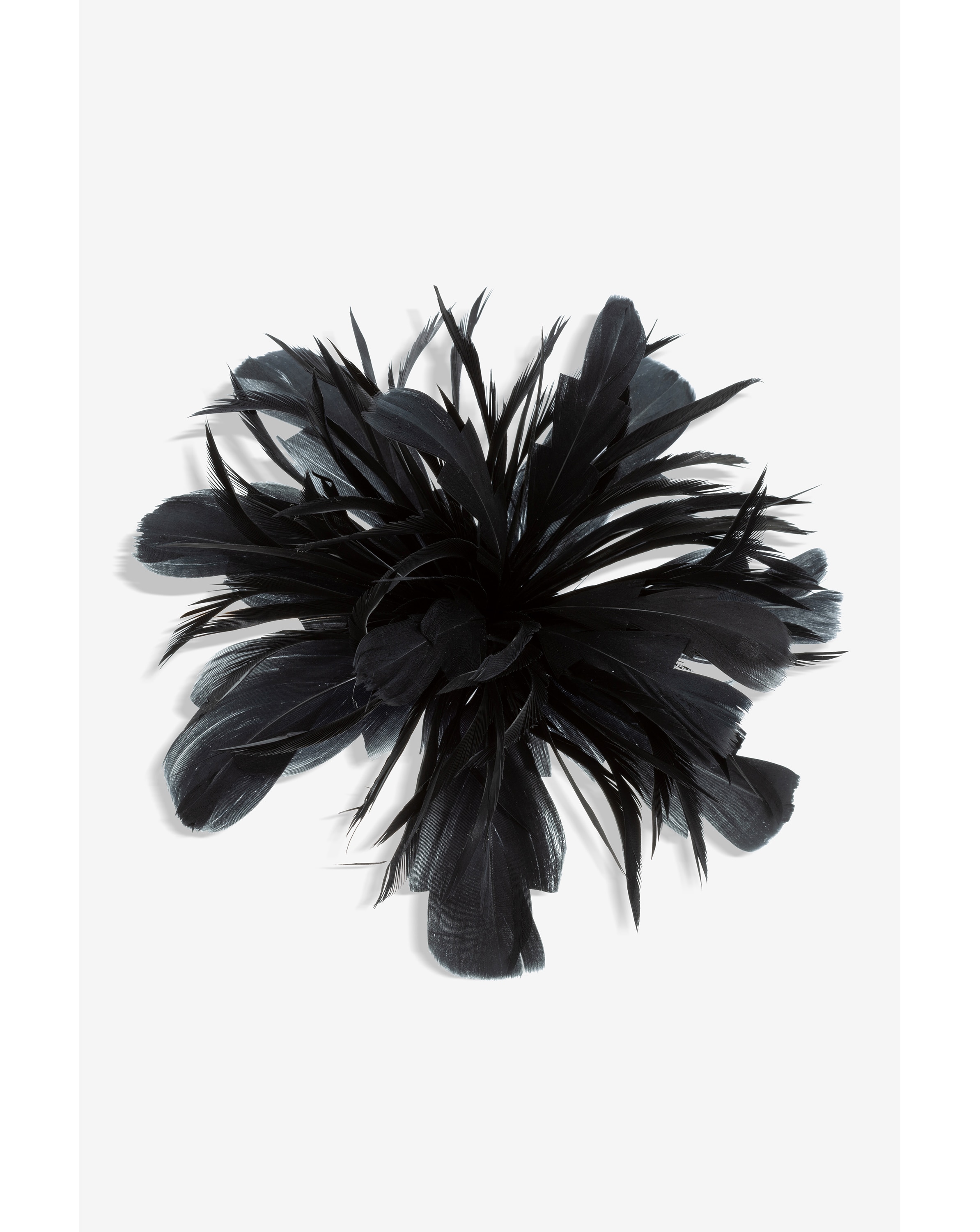 Jon Richard Black Floral Fascinator