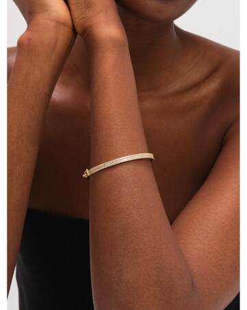 Jon Richard Gold Plated Cubic Zirconia Bangle