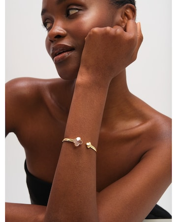 Jon Richard Gold Polished and Crystal Clover Bangle