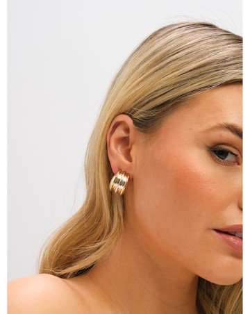 Mood Two Tone Dome Earrings