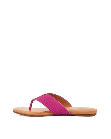 Ugg Carey Flip Flop Toe Sandals Standard Fit