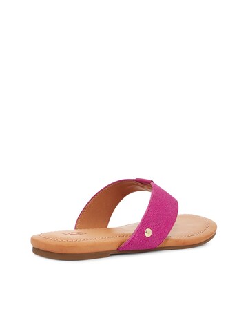 Ugg Carey Flip Flop Toe Sandals Standard Fit