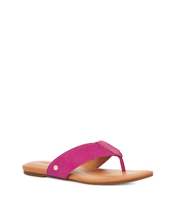Ugg Carey Flip Flop Toe Sandals Standard Fit