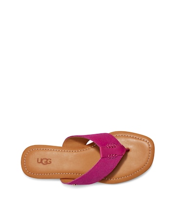 Ugg Carey Flip Flop Toe Sandals Standard Fit