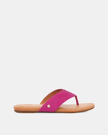 Ugg Carey Flip Flop Toe Sandals Standard Fit