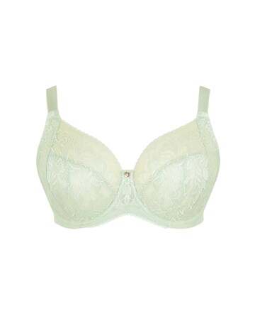 Sculptresse Dream Full Cup Pistachio