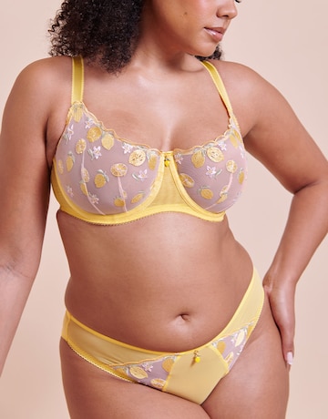 Curvy Kate Limoncello Tanga Brief