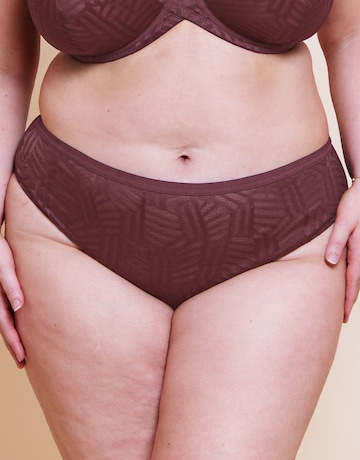 Curvy Kate WonderFull Vibe High Leg Brief