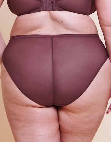 Curvy Kate WonderFull Vibe High Leg Brief