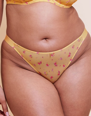 Curvy Kate Cool Cat Tanga