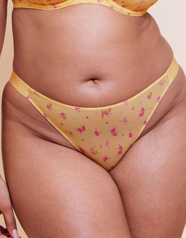 Curvy Kate Cool Cat Tanga