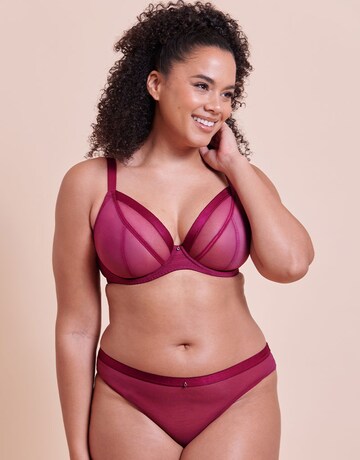 Curvy Kate Lightstyle Plunge Bra