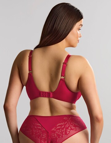 Sculptresse Sophia Full Cup Raspberry Wired Bra