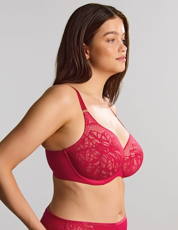 Sculptresse Sophia Full Cup Raspberry Wired Bra