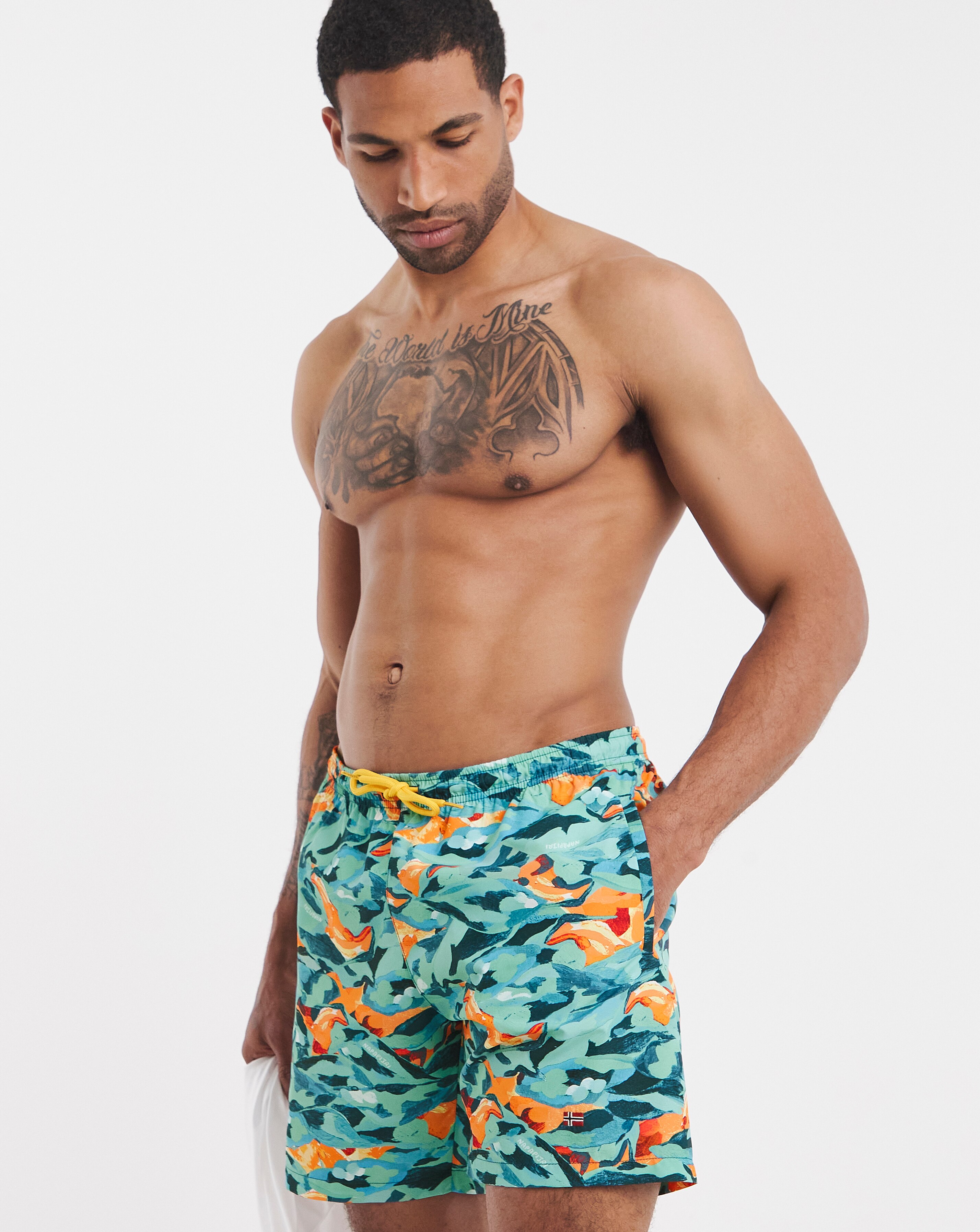 Napapijri Inuvik Printed Shorts