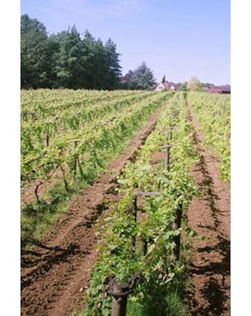 Winery and Brewery Tour for Two with Tastings E-Voucher