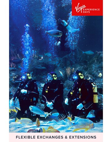 Dive with Sharks at Skegness Aquarium E-Voucher