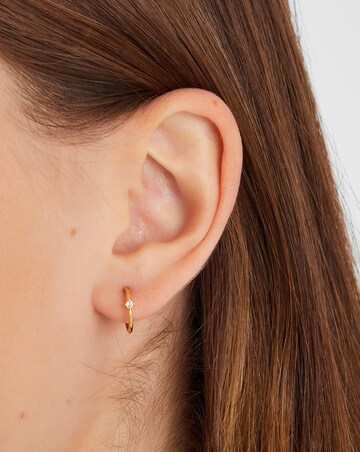 Accessorize 5-Pack 14ct Gold-Plated Earrings