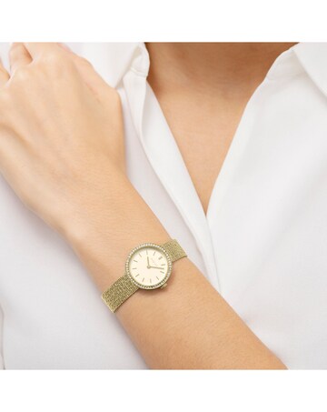 Radley Gold Plated 27mm Stone Set Mesh Watch