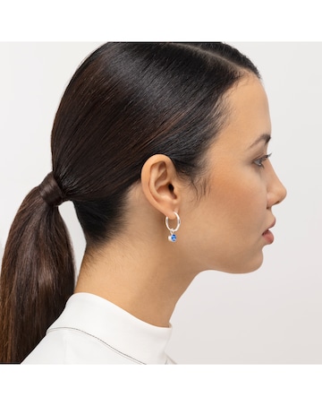 Radley Silver Plated Huggie Earring and Charm Set