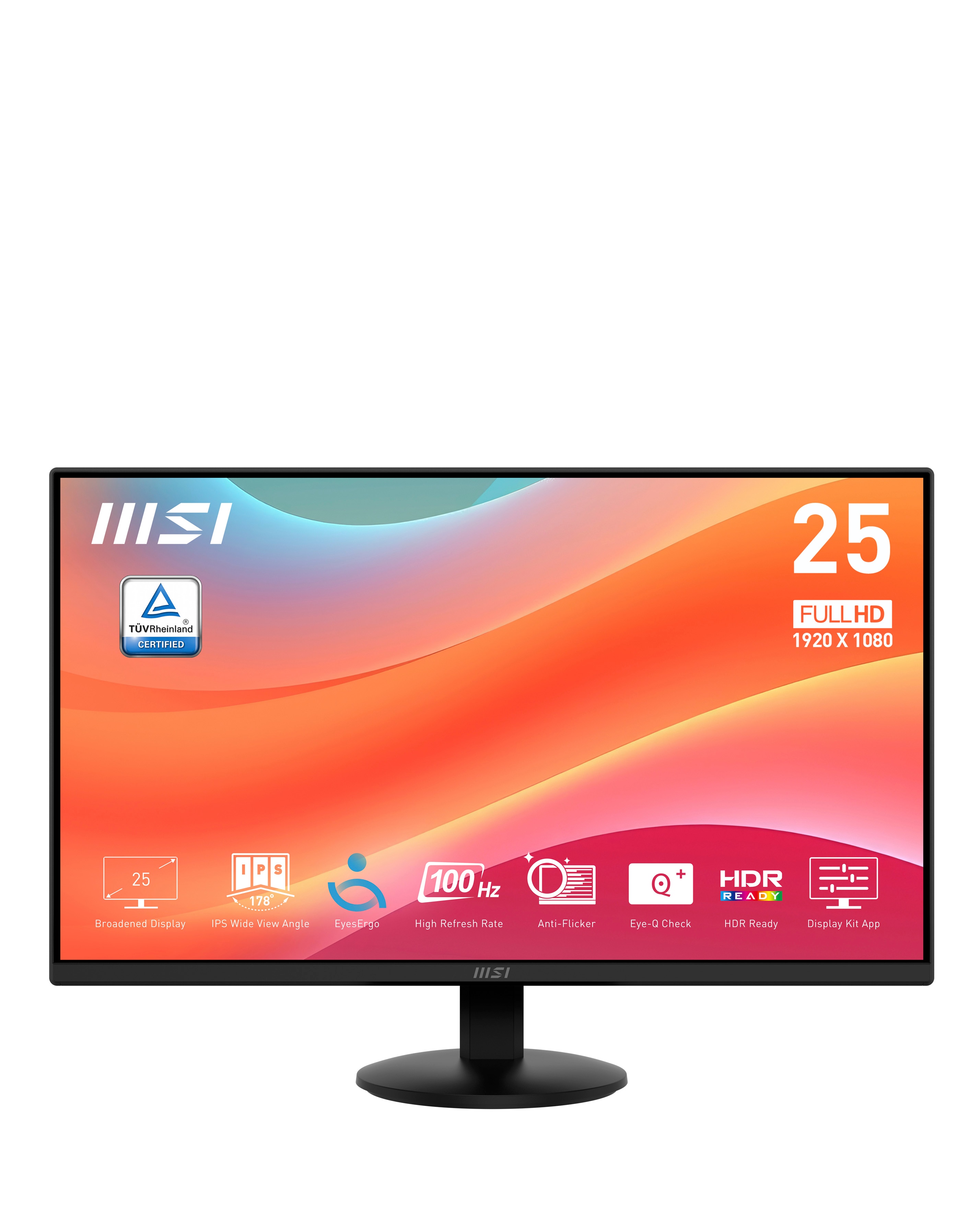 MP252L 24.5 Monitor