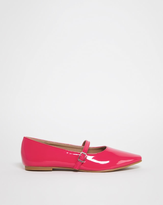 Pointed Toe Ballerina Shoes Wide