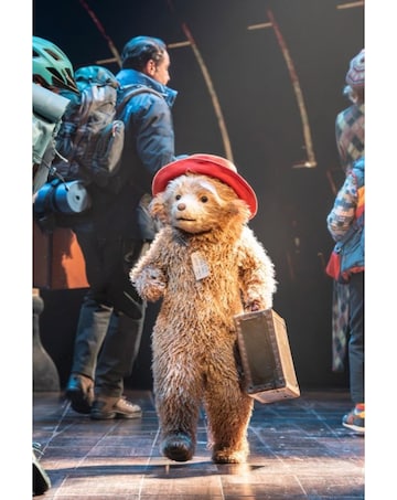 Paddington the Musical Theatre Tickets for Two E - Voucher