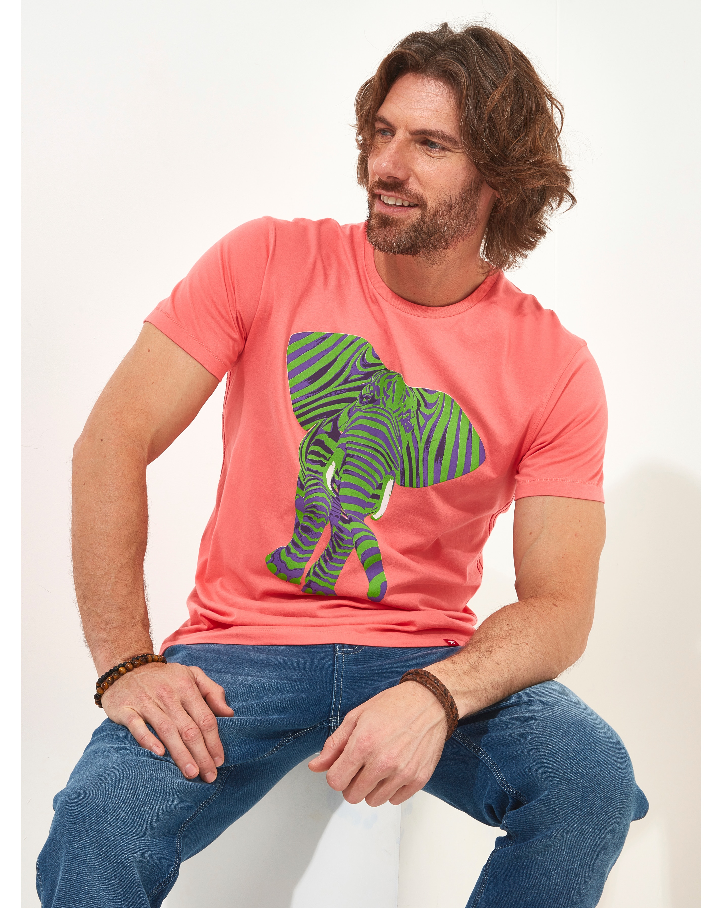 Joe Browns Superb Stripe Elephant Tee