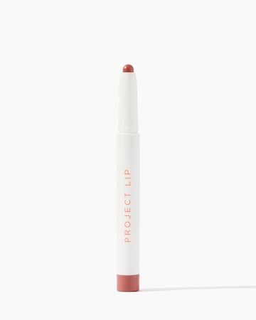 Project Lip Plump and Fill Lip Liner Touch