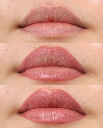 Project Lip Plump and Fill Lip Liner Chase