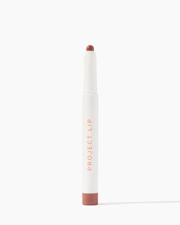 Project Lip Plump and Fill Lip Liner Nudie