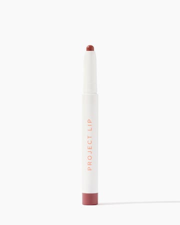 Project Lip Plump and Fill Lip Liner Wild