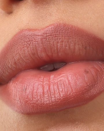 Project Lip Plump and Fill Lip Liner Wild