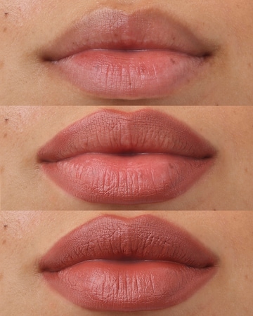 Project Lip Plump and Fill Lip Liner Wild