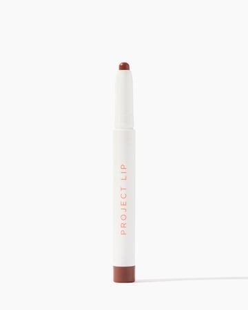 Project Lip Plump and Fill Lip Liner Crave