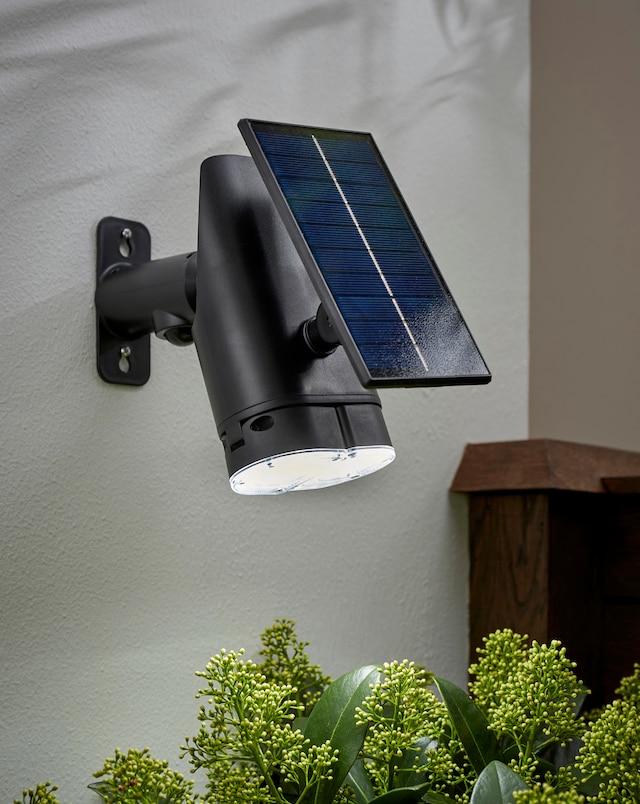 PIR Wall Light