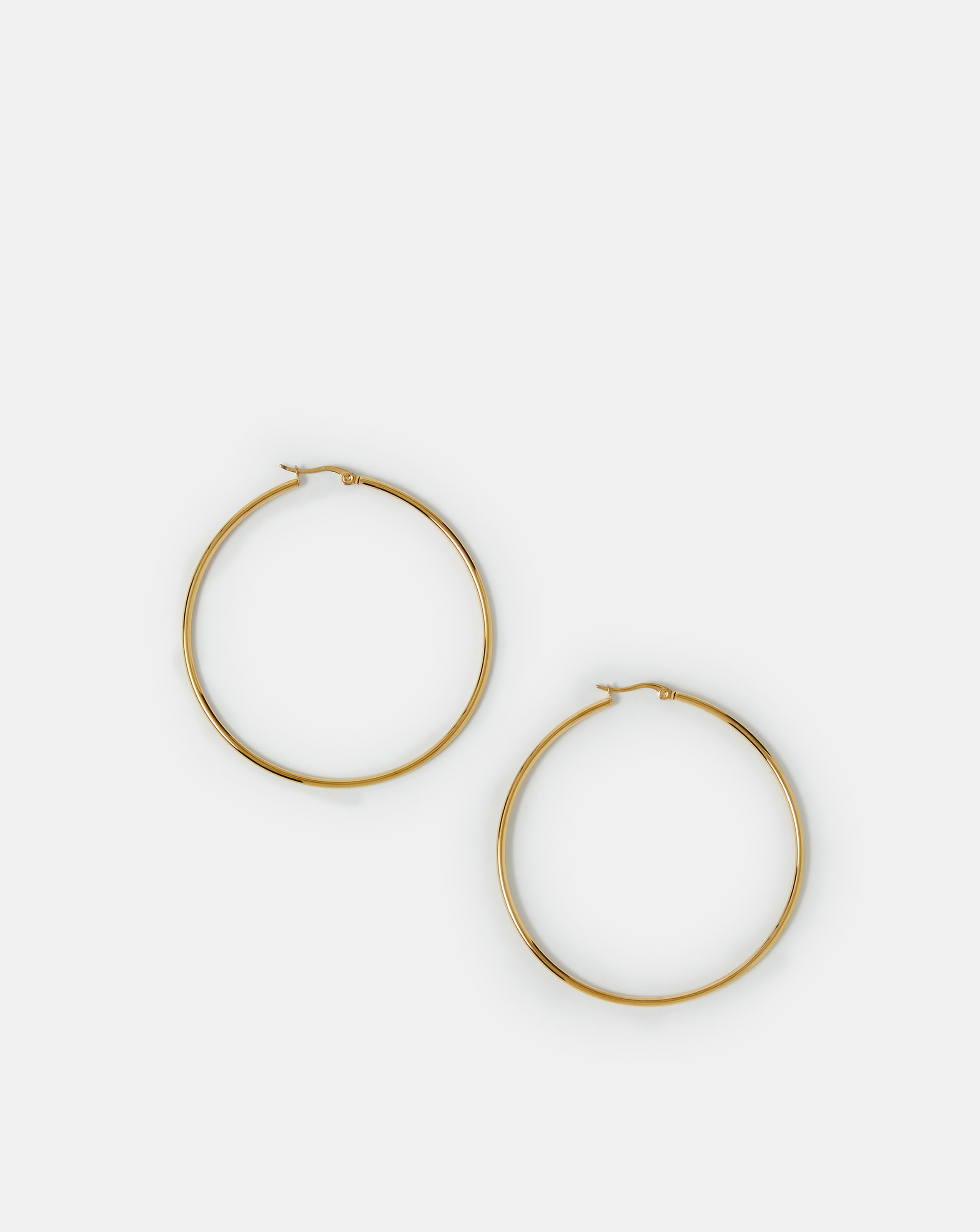 Accessorize Stainless Steel Earrings