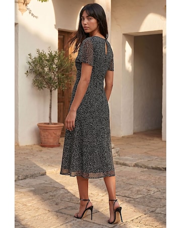 Roman Petite Studded Mesh Midi Dress